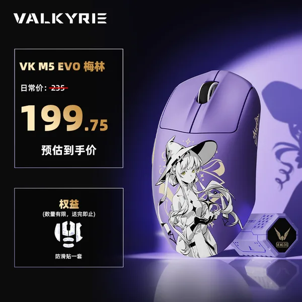 VALKYRIE（瓦尔基里） VK M5